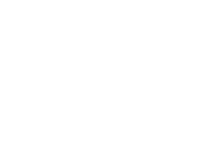 High Fidelity Pressure Washing Logo